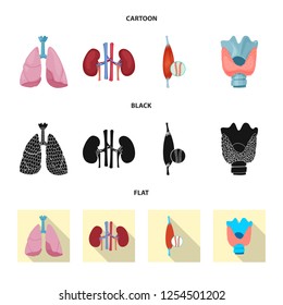 Vector illustration of body and human symbol. Set of body and medical vector icon for stock.
