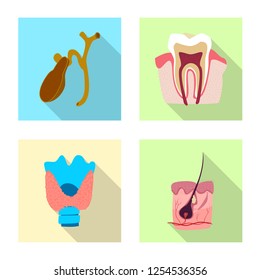Vector illustration of body and human symbol. Set of body and medical stock symbol for web.