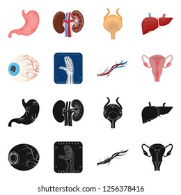 Vector illustration of body and human symbol. Set of body and medical stock vector illustration.