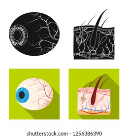 Vector illustration of body and human symbol. Collection of body and medical stock symbol for web.