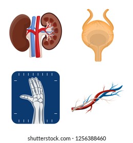 Vector illustration of body and human symbol. Collection of body and medical vector icon for stock.