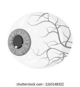 Vector illustration of body and human symbol. Set of body and medical stock symbol for web.