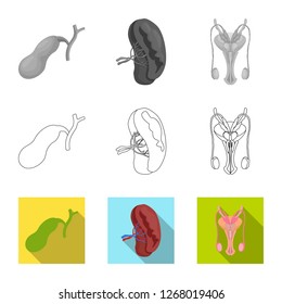 Vector illustration of body and human symbol. Set of body and medical stock symbol for web.