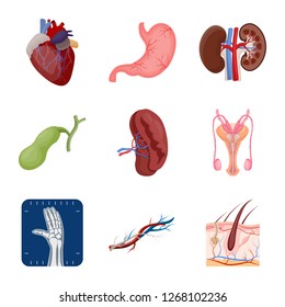 Vector illustration of body and human symbol. Collection of body and medical stock vector illustration.