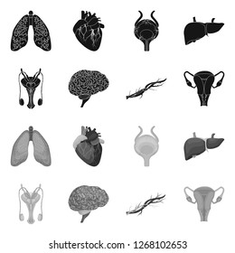Vector illustration of body and human symbol. Collection of body and medical vector icon for stock.