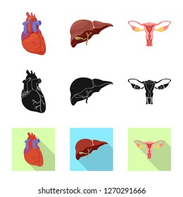 Vector illustration of body and human symbol. Set of body and medical vector icon for stock.