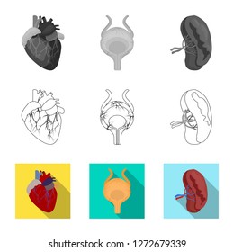 Vector illustration of body and human symbol. Set of body and medical stock vector illustration.