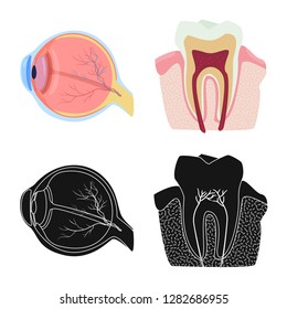 Vector illustration of body and human symbol. Set of body and medical vector icon for stock.