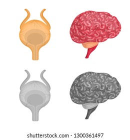 Vector illustration of body and human symbol. Collection of body and medical vector icon for stock.