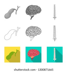 Vector illustration of body and human symbol. Collection of body and medical stock symbol for web.