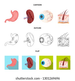 Vector illustration of body and human symbol. Collection of body and medical stock symbol for web.