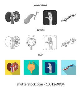 Vector illustration of body and human symbol. Collection of body and medical stock vector illustration.