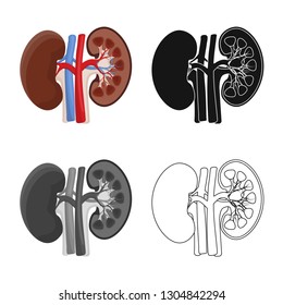 Vector illustration of body and human symbol. Set of body and medical vector icon for stock.