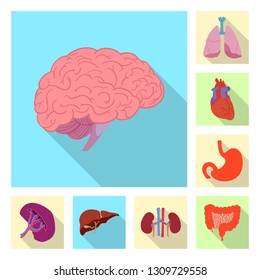 Vector illustration of body and human symbol. Collection of body and medical stock vector illustration.