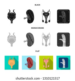 Vector illustration of body and human symbol. Collection of body and medical stock symbol for web.