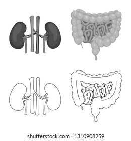 Vector illustration of body and human symbol. Set of body and medical stock symbol for web.