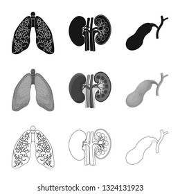 Vector illustration of body and human symbol. Collection of body and medical stock vector illustration.