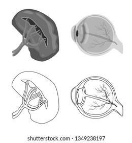Vector illustration of body and human symbol. Collection of body and medical stock vector illustration.