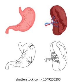Vector illustration of body and human symbol. Set of body and medical vector icon for stock.