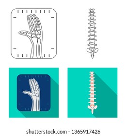 Vector illustration of body and human symbol. Set of body and medical stock symbol for web.
