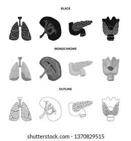 Vector illustration of body and human symbol. Set of body and medical vector icon for stock.