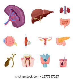 Vector illustration of body and human symbol. Collection of body and medical stock symbol for web.