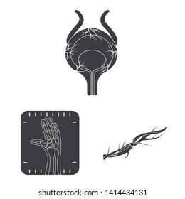 Vector illustration of body and human symbol. Collection of body and medical vector icon for stock.
