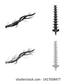 Vector illustration of body and human symbol. Collection of body and medical stock vector illustration.