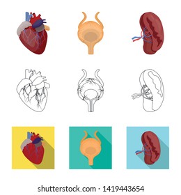 Vector illustration of body and human symbol. Set of body and medical vector icon for stock.