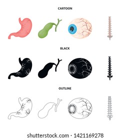 Vector illustration of body and human symbol. Collection of body and medical stock symbol for web.