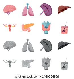 Vector illustration of body and human symbol. Collection of body and medical stock symbol for web.