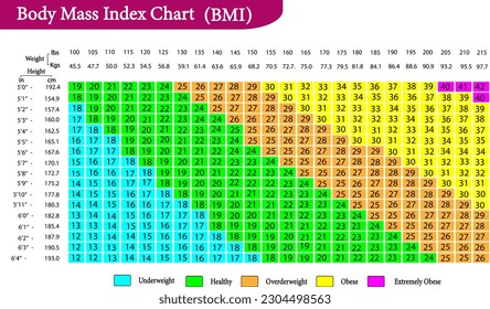 vector illustration of Body mass index (BMI) chart