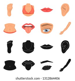 Vector illustration of body and part icon. Collection of body and anatomy vector icon for stock.