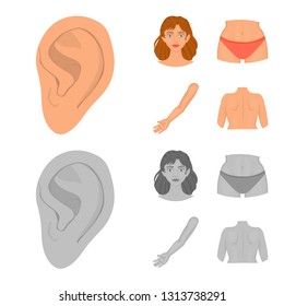 Vector illustration of body and part icon. Collection of body and anatomy stock symbol for web.