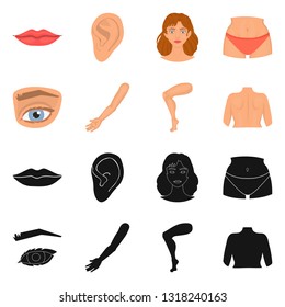 Vector illustration of body and part icon. Collection of body and anatomy stock vector illustration.