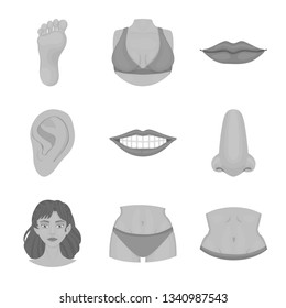 Vector illustration of body and part icon. Set of body and anatomy stock vector illustration.