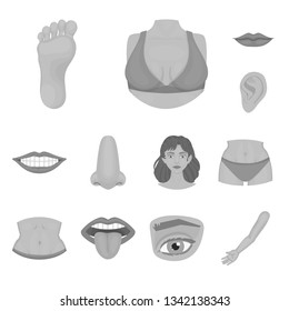 Vector illustration of body and part icon. Set of body and anatomy stock vector illustration.