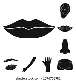 Vector illustration of body and part icon. Collection of body and anatomy stock symbol for web.