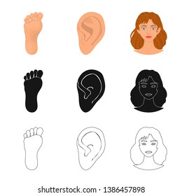 Vector illustration of body and part icon. Collection of body and anatomy stock symbol for web.