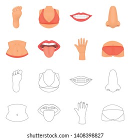 Vector illustration of body and part icon. Collection of body and anatomy stock vector illustration.