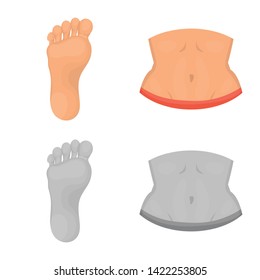 Vector illustration of body and part icon. Collection of body and anatomy vector icon for stock.