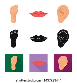 Vector illustration of body and part icon. Collection of body and anatomy stock symbol for web.