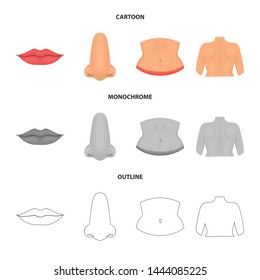 Vector illustration of body and part icon. Collection of body and anatomy stock vector illustration.