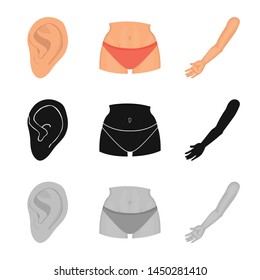 Vector illustration of body and part icon. Set of body and anatomy vector icon for stock.