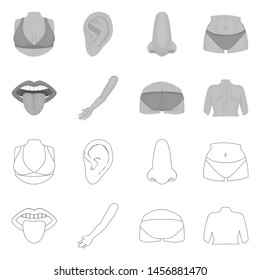 Vector illustration of body and part icon. Set of body and anatomy vector icon for stock.