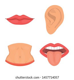 Vector illustration of body and part icon. Collection of body and anatomy stock vector illustration.