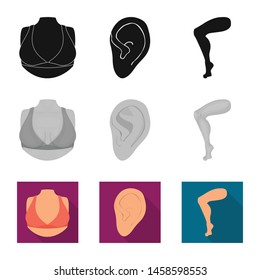 Vector illustration of body and part icon. Set of body and anatomy stock symbol for web.