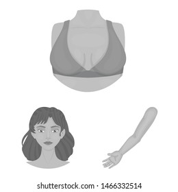 Vector illustration of body and part icon. Set of body and anatomy stock vector illustration.