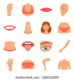 Vector illustration of body and part logo. Set of body and anatomy vector icon for stock.