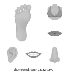 Vector illustration of body and part logo. Set of body and anatomy vector icon for stock.